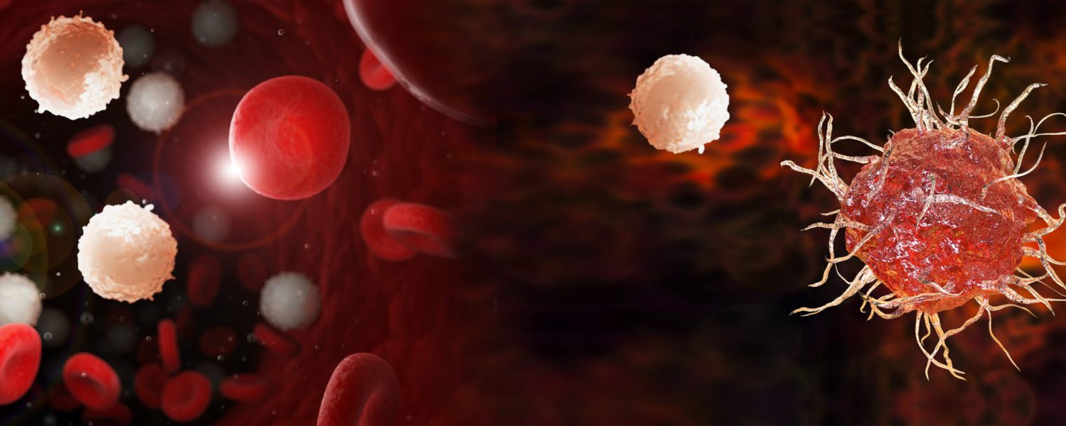 Dendritic cell, antigen-presenting immune cell, 3D illustration